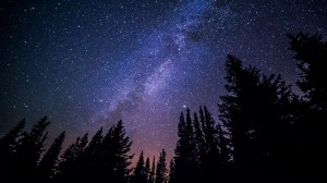 nature-sky-night-star-milky-way-cosmos-atmosphere-constellation-space-galaxy-long-exposure-trees-starry-science-astronomy-stars-un